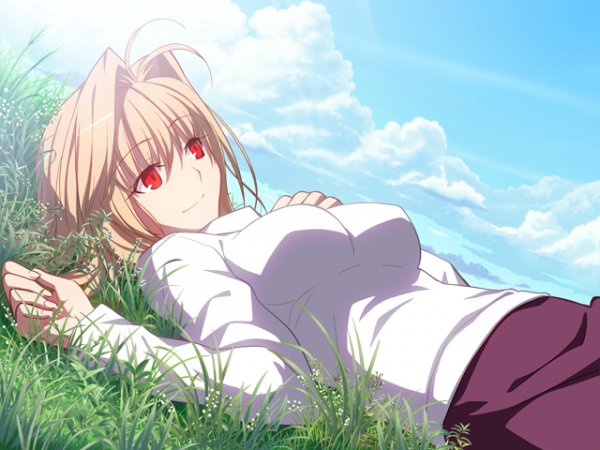 tsukihime(Лунная принцесса)эроге