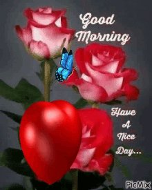 + Beautiful Good Morning Gifs