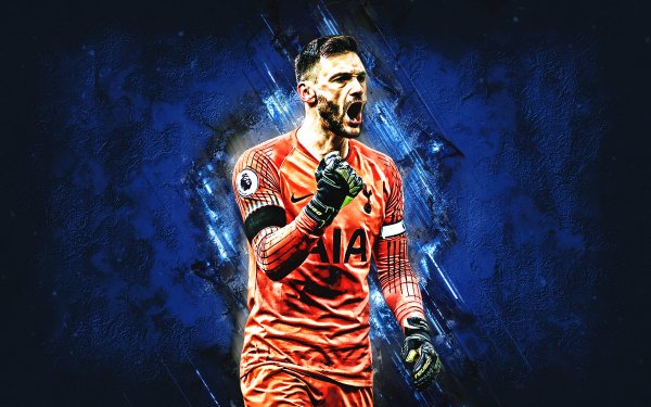 hugo-lloris-blue-stone-tottenham-hotspur-fc-orange-uniform-
