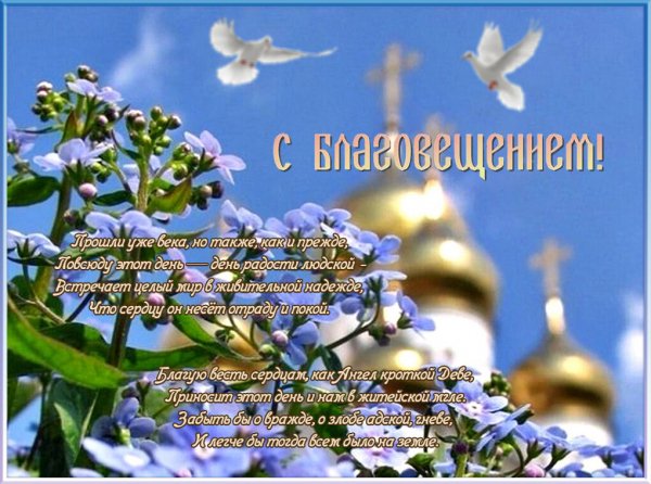 IMG 20240407 171132