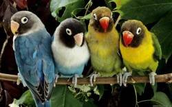 file_45901109