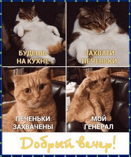 добрый вечер 084017