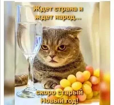 file_89360147