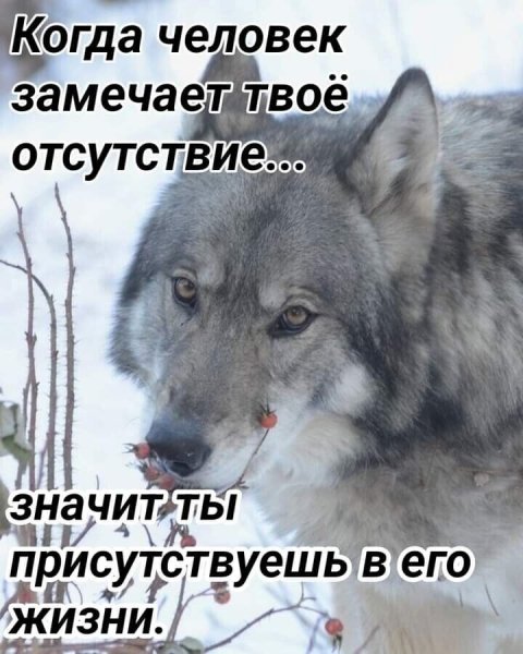 Замечают твоё отсутствие...