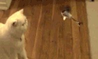 file_85147607