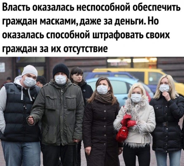 file_81355102