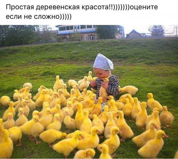 rR XbN9z0mEIpPlNv2qXvr