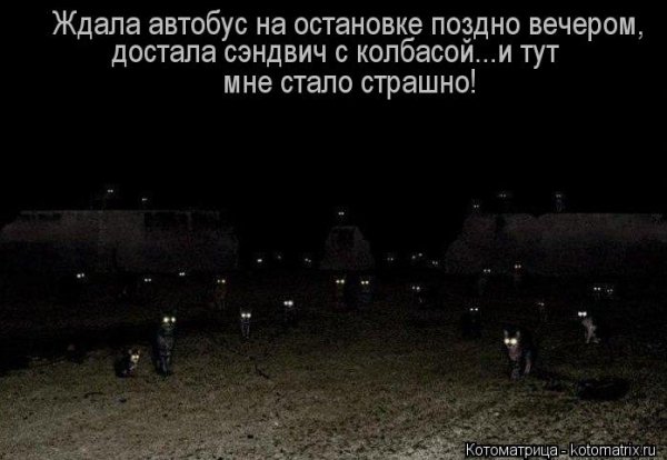 file_74822809