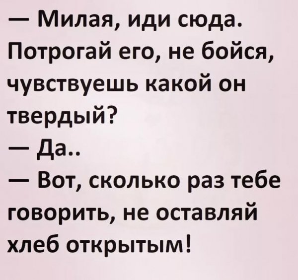 B8c519a2e71169f234f85d18771a7156