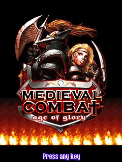 Medieval Combaт
