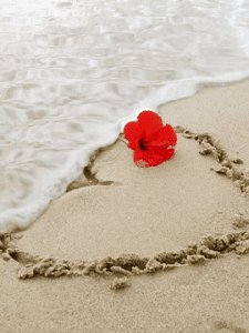 Сердце на песке с розами ан