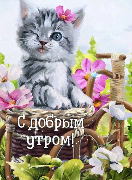 file_75068216
