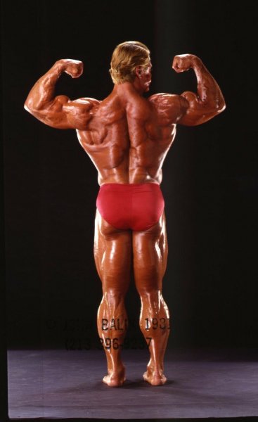 Tom-Platz-IFBB-Pro-Bodybuilder-An-Original-6X7 5
