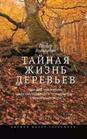 Тайная жизнь деревьев. Что они чувствуют, как они общаются