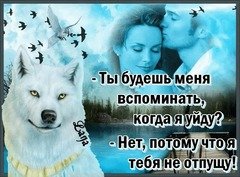 c0dad9e548d0693813561a9dc730