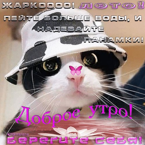 Анимированная открытка доброе утро (1)