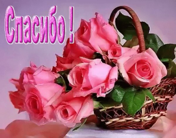 IMG 20191020 115401