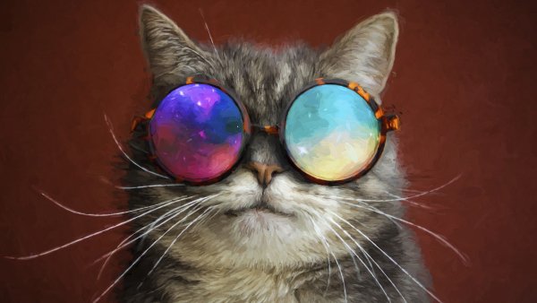 cat glasses party cool painting 4k 5k hd