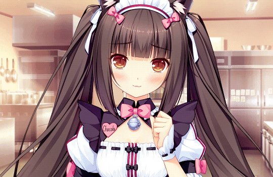 Nekopara, Foreign VN