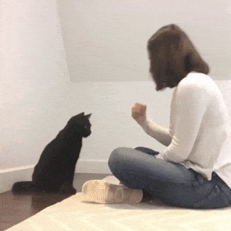 ))