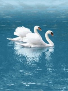file_69394211