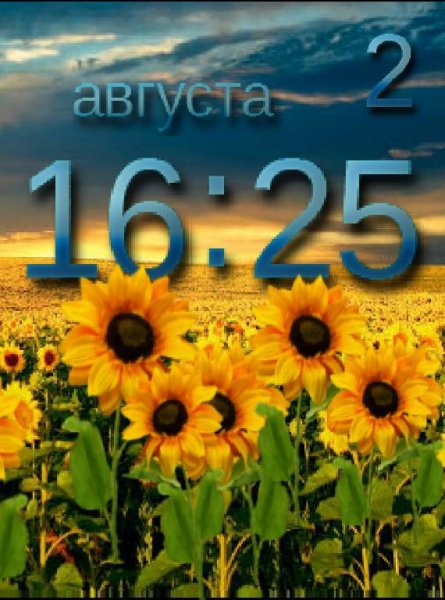 Подсолнухи