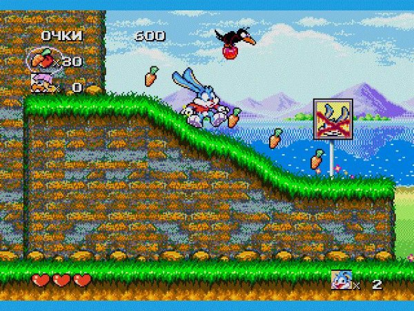 Tiny Toon Busters