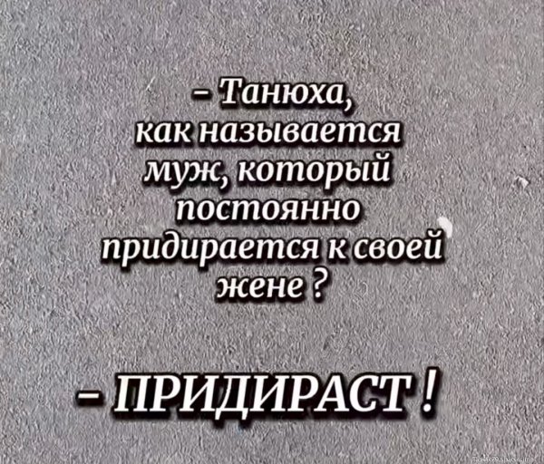 Придираст