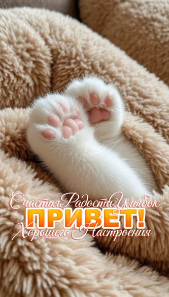 Доброе утро (342)