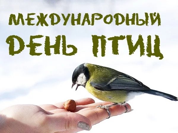 С международным днём птиц