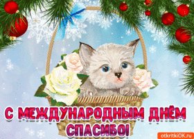 pozdravlyayu-s-dnem-spasibo-pust-prikhodit-blagodarnost-50999