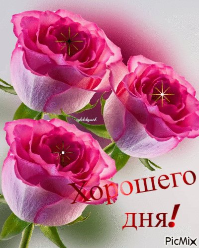 Анимированная открытка удачного дня