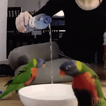 gifs 16