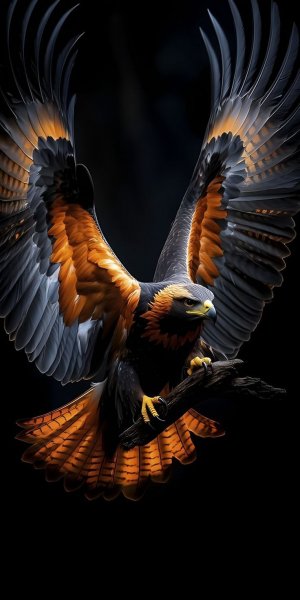 Ca4dd9b62fc6cff0c9ca0cba7068dcf8