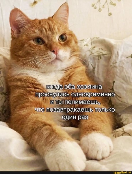 D2af629350760c7d54121ee465f0776c2ab5c8728ae 1