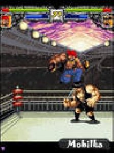 World Wrestling Demolition