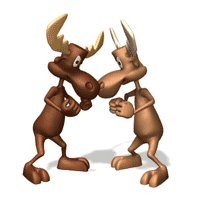 moose head butting lg nwm