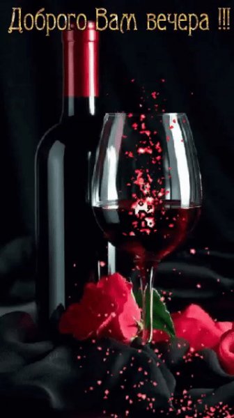 GIF-bfa34854dc58c3bfd7aec8383f3927c8