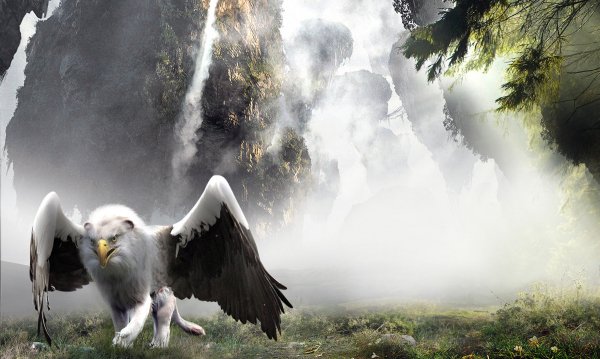 Грифон обои ПК