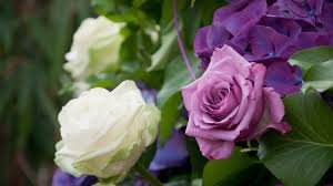 звантаження (9)