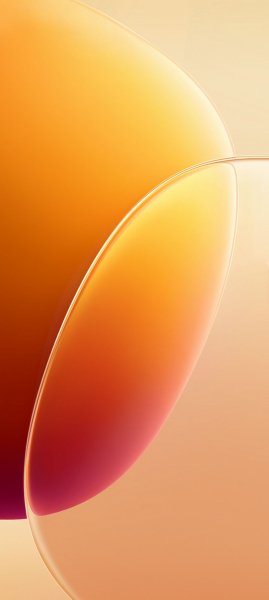 adapted 1080x2408 1769797335