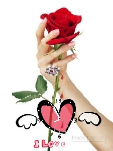 Rose in the hand