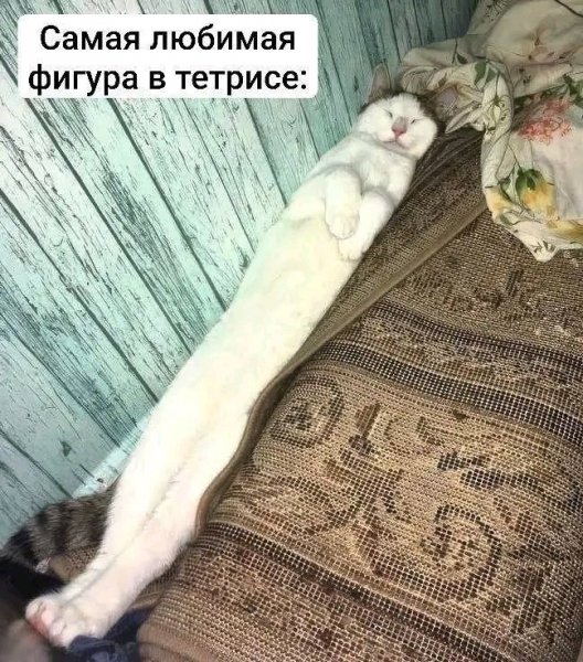 file_103237041