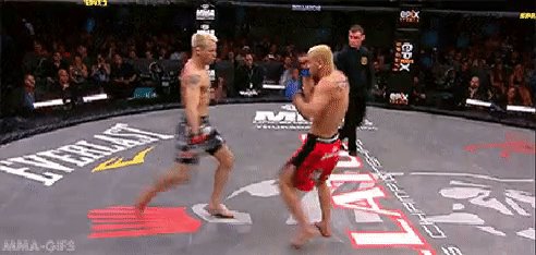 IMG 20170312 075335 2