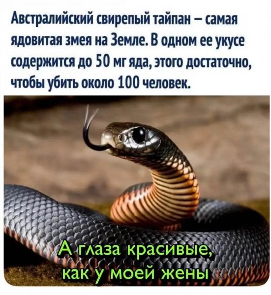file_102770286