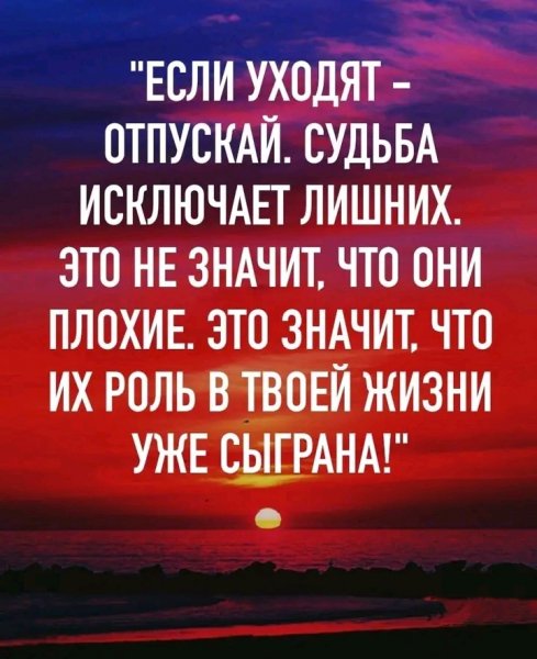 file_95952622