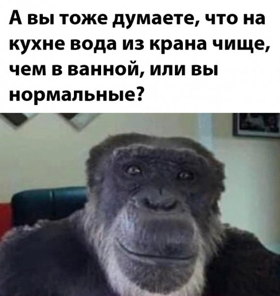 file_102319852