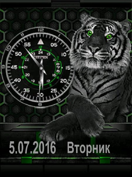 Тигр