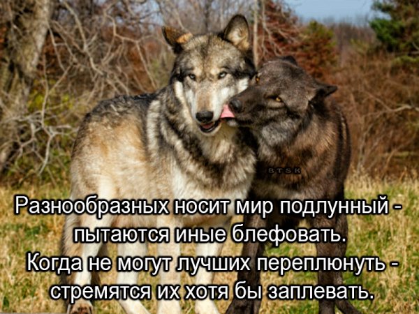 IMG 20190720 211832