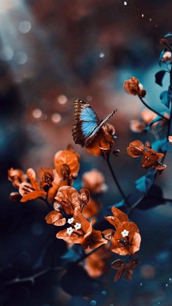 file_90959893
